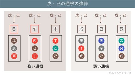 通根|四柱推命の通根と透干の意味とは？ 